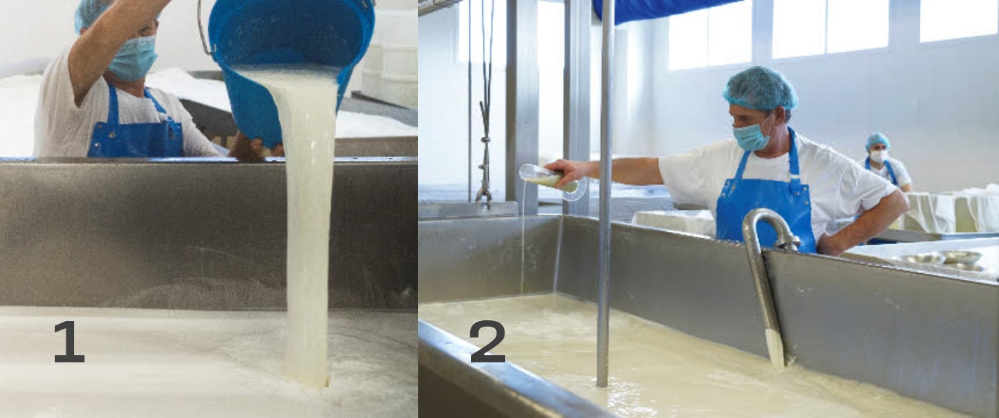 Производство сыра Горгонзола. Молоко заливают в резервуары и добавляют ферменты и споры