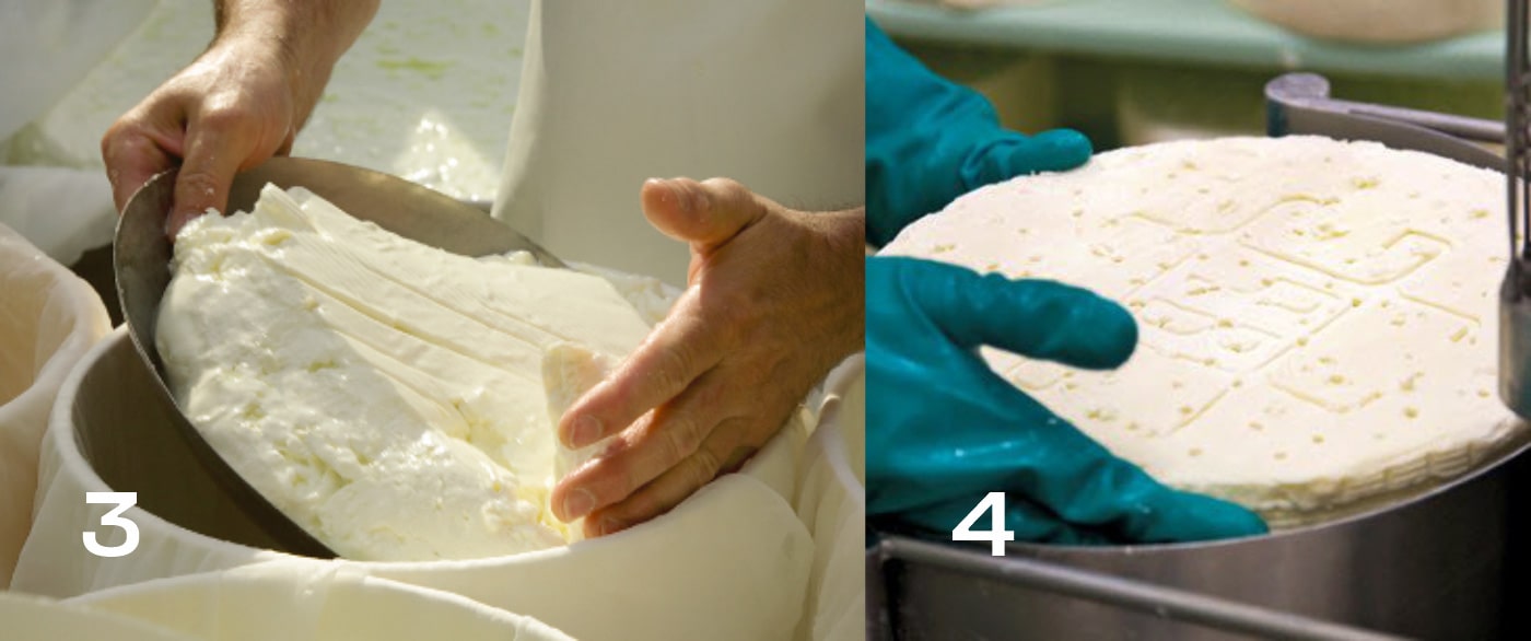 Производство сыра Горгонзола.Образовавшийся сырный творог разрезают и укладывают в формы